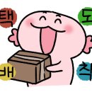 메가피시방 이미지