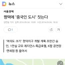 평택 중국인도시 계획, 영주권??선거권?? 이미지