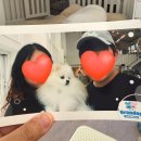 독 | 부산 애견카페 그랑독 후기｜운동장 넓은 애견카페 추천🐾