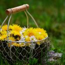 연세사랑의원 이미지