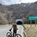 구례 산수유꽃축제장 다녀왔습니다 이미지