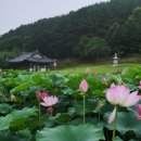 직업상담사 필기 - 노동시장론 이미지