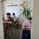 [평창진부막국수]들기름막국수가 찐인 운양동 맛집