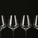 비니드니 이미지