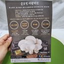 글로벌대왕버섯