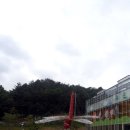 우포 잠자리 나라 이미지