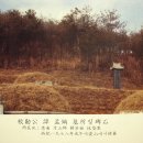 홍처윤선생묘 및 묘갈 | 경기도지정문화재, 안산시 향토유적