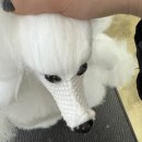 온쓰 | 애견미용 3급 자격증 시험비용, 준비물, 내일배움카드 합격 솔직 후기