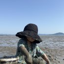보성마트앞 | 보성 율포해수욕장 캠크닉 갯벌체험 모래놀이 율포해수녹차센터 가족 나들이 후기
