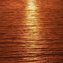 달의바다 이미지