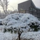 펜션재온 이미지