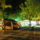 횡성자연휴양림 이미지