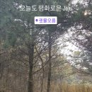 영수목장 스포츠경향
