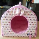 둘리애견 이미지