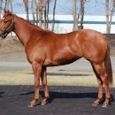 상산목장 이미지