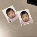 일산동구청 민원실 | 돌 전 아기 여권사진 촬영 (미스터포토 라페스타점), 일산동구청 여권 발급, 여행갈때 준비물 체크리스트