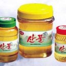 종로-종로-종로-종-254 이미지