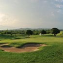 본24골프 이미지