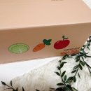 경북농산물 | 착즙하는남자 CCA주스 후기 | 경북 농산물로 만든 건강한 클렌즈주스 경험기