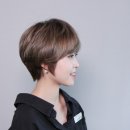 컷트의 성지 이미지