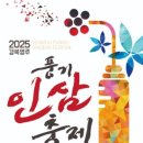 경북영주 풍기인삼축제 | 2025 경북영주 풍기인삼축제 총정리