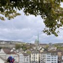 영차호프