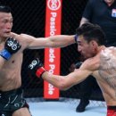 라이언 컴퍼니 이미지