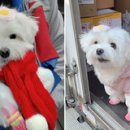 승진상사 이미지