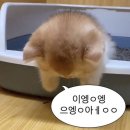 박금자 | 넋두리 좀 할게요.(feat.박금자)