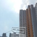 미스터스윗