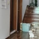 곰실화장실 이미지