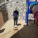 동초교병설유치원 | ::모래소독::키제코::안양 동초등학교,안양동초병설 모래소독,놀이기구 세척,코로나19방역:: 3722째 후기