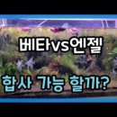 효자동갈비찜 성남점 네이버블로그