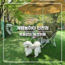 다남로 | 인천 애견카페 추천 개떼놀이터 인천점 넓은 야외잔디운동장에서 목줄없이 놀기