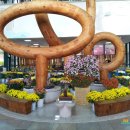 경상북도산림과학박물관(휴관) 이미지