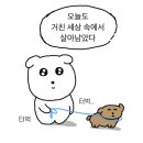 노랑통닭 마동점 | 30살로 6개월 살아본 후기