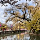 광한북로 이미지