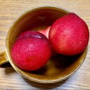 비로소, 여름 이미지