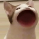 매컴