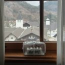 무주짬뽕 | [무주] 또스키장 | 무주티롤호텔 |무주돌짬뽕 ♥ | 내돈내산후기