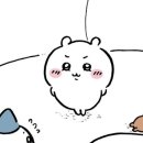 시우사랑 이미지