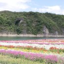 단양별소풍민박 이미지