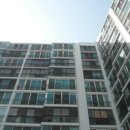 완월동289 이미지