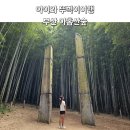 4호선 반여농산물시장역 | 부산 가볼만한곳 아홉산숲 드라마촬영지 부산 뚜벅이여행