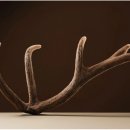 새로고침한의원 이미지