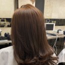 박찬헤어 이미지