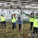 김길수농장 이미지