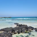포비네 오두막 | [제주] 친구랑 얼렁뚱땅 뚜벅이 제주살이 약 2주 DAY+5~6(월정리 투어, 서핑 추천, 월정리 게하 추천...