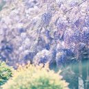 우리의 시간