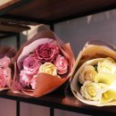 빵드모렐라 이미지